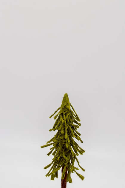 Tree Pruning Techniques for Healthier Trees